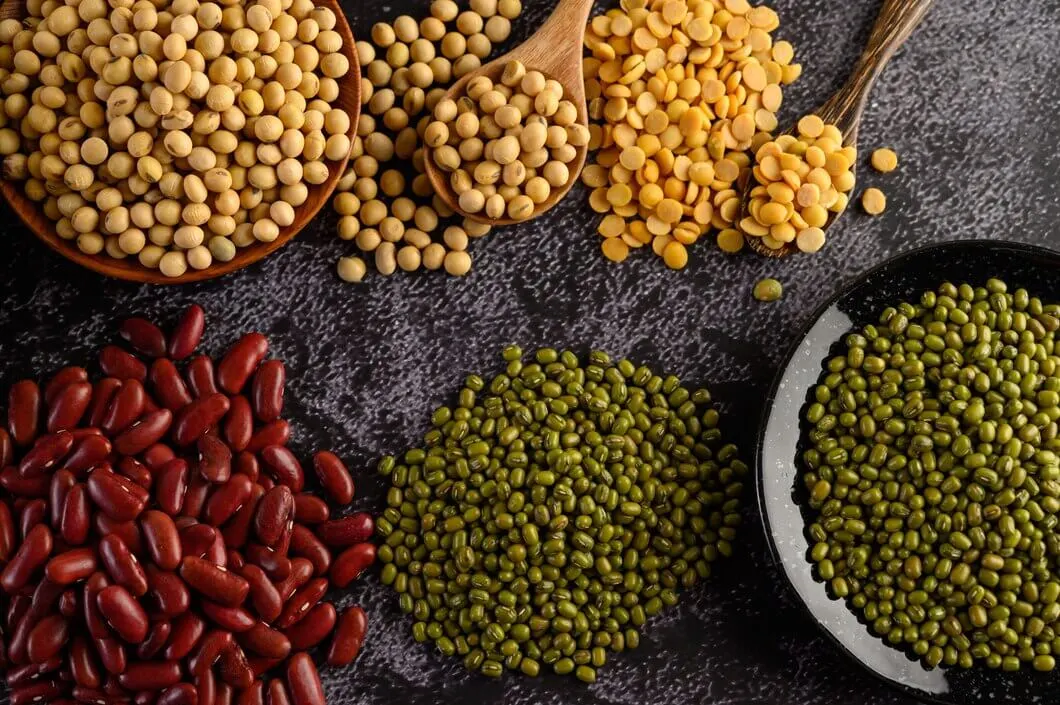 Indian Pulses