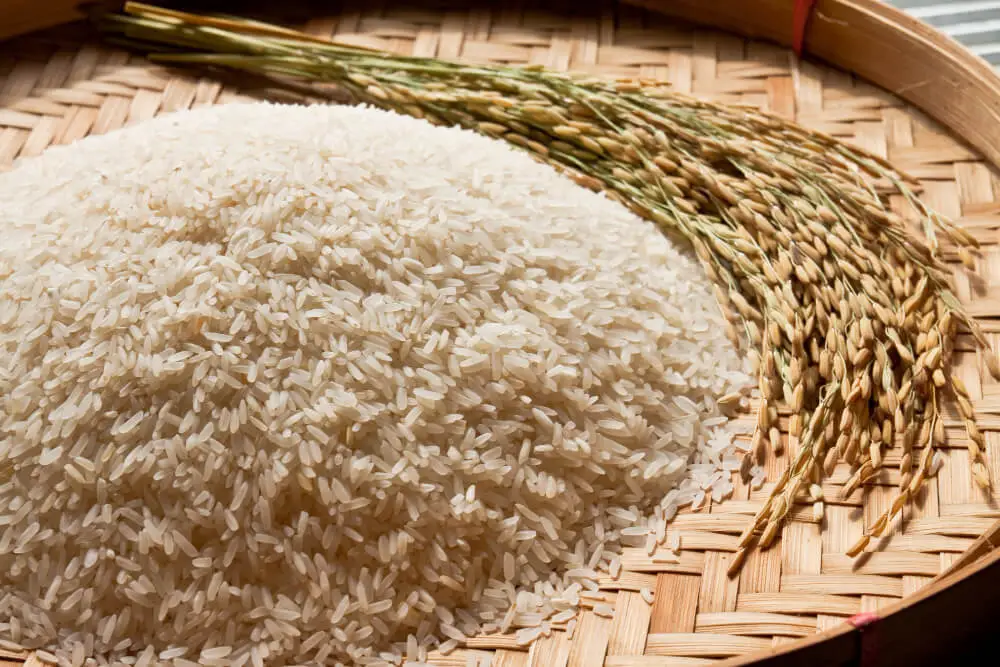 Basmati Rice